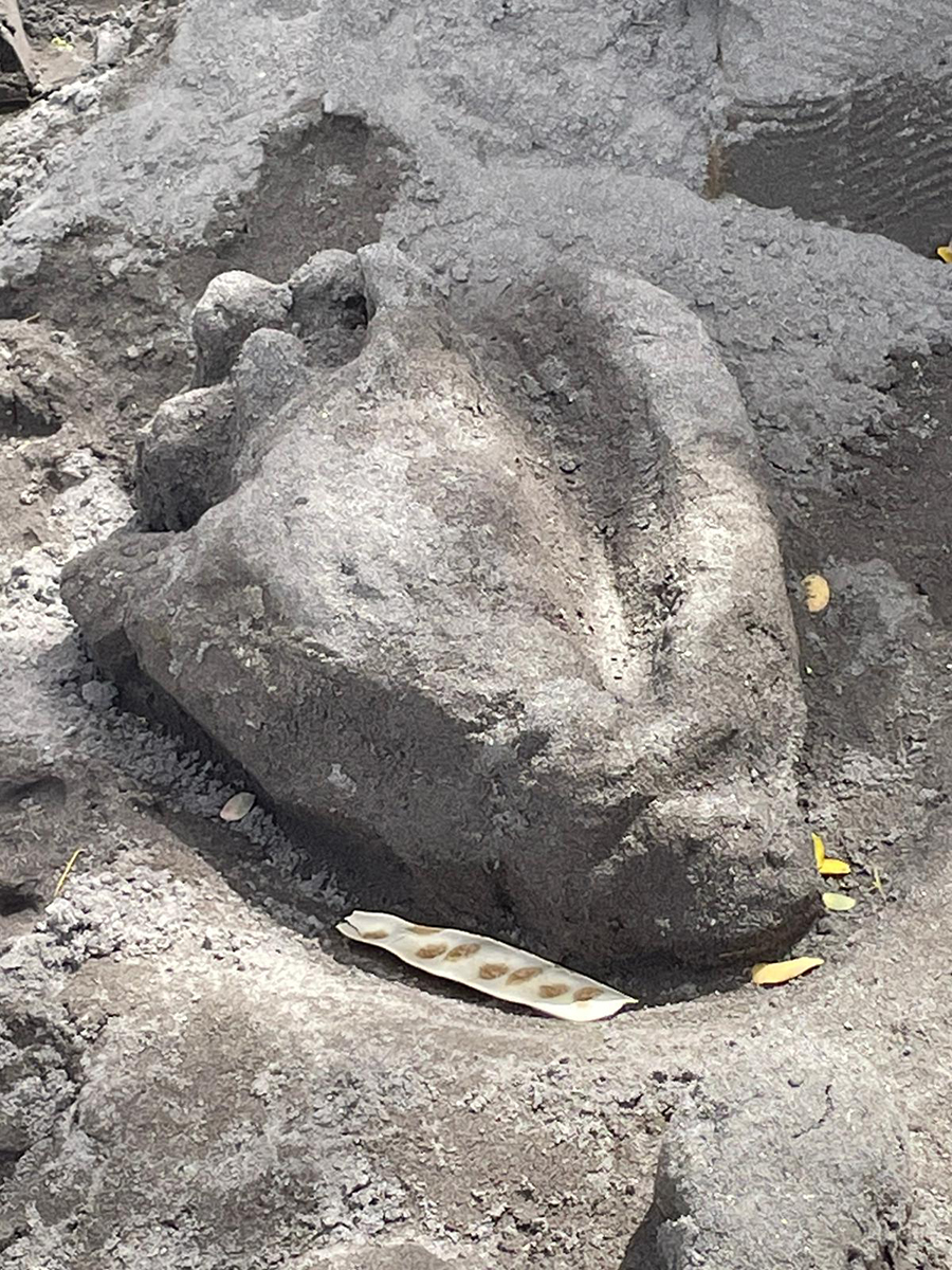 LA YOLE MARTINIQUAISE 