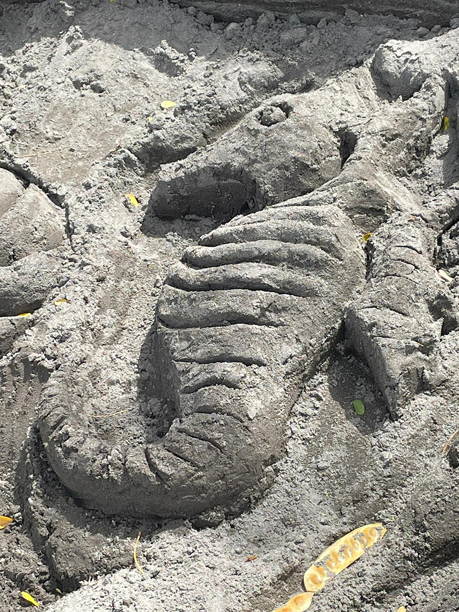 LA YOLE MARTINIQUAISE 