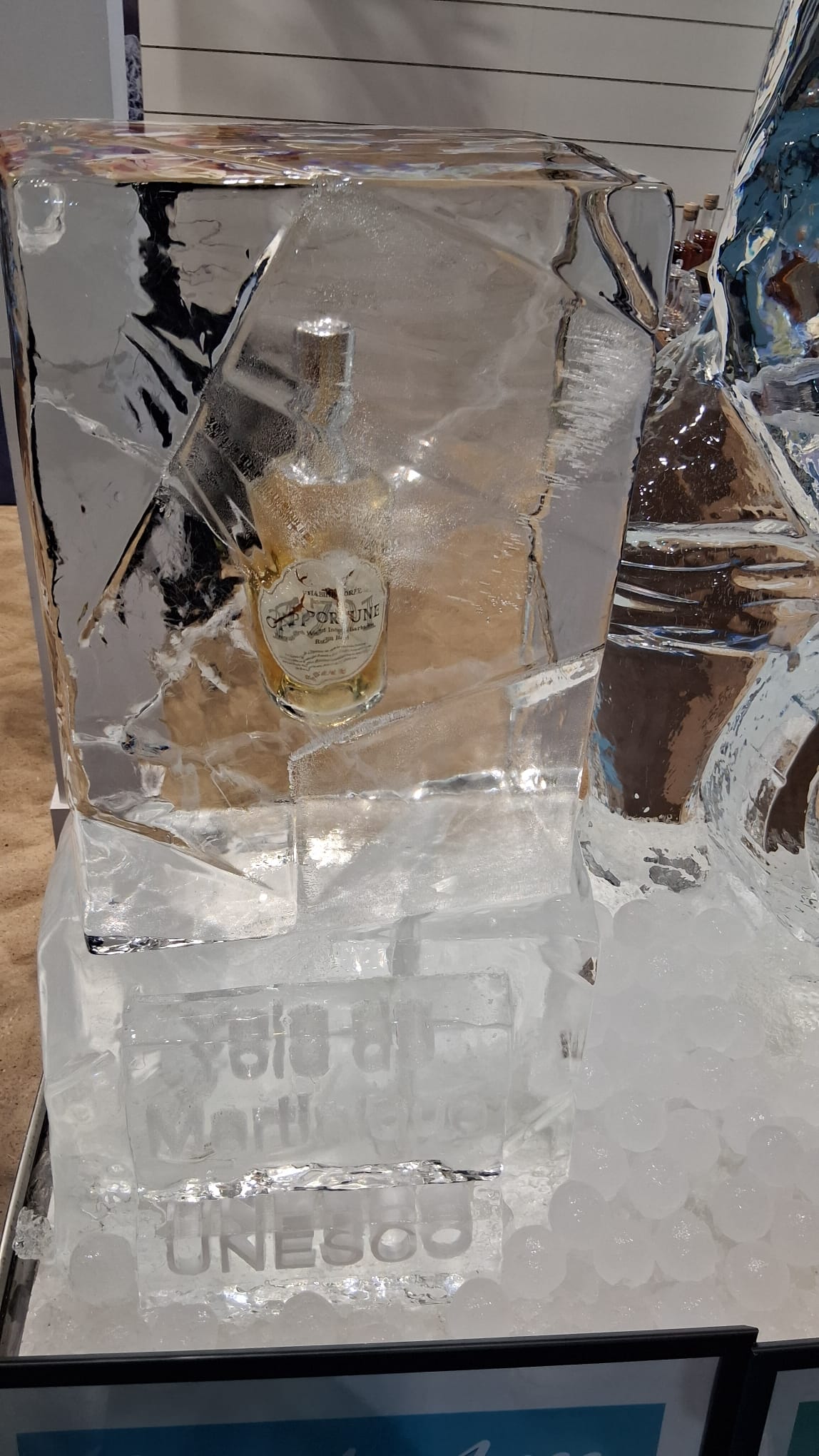 LA YOLE MARTINIQUAISE 