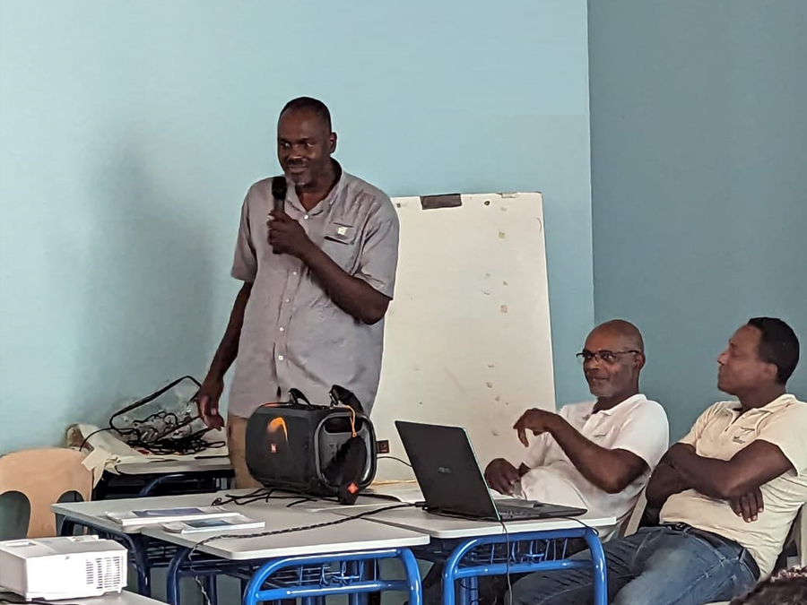 LAYOLEDEMARTINIQUE.COM 