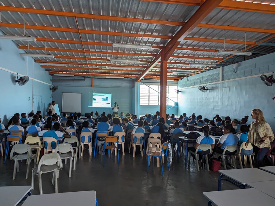 LAYOLEDEMARTINIQUE.COM 